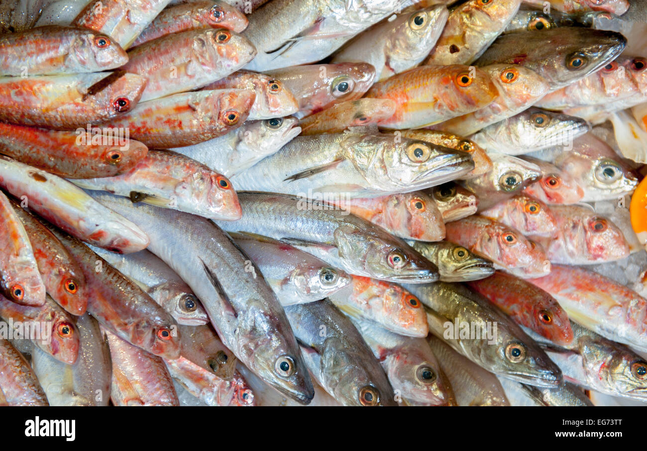 Mazzetto di fresco pesce del Mediterraneo visualizzato nella vista del mercato dal lato superiore Foto Stock