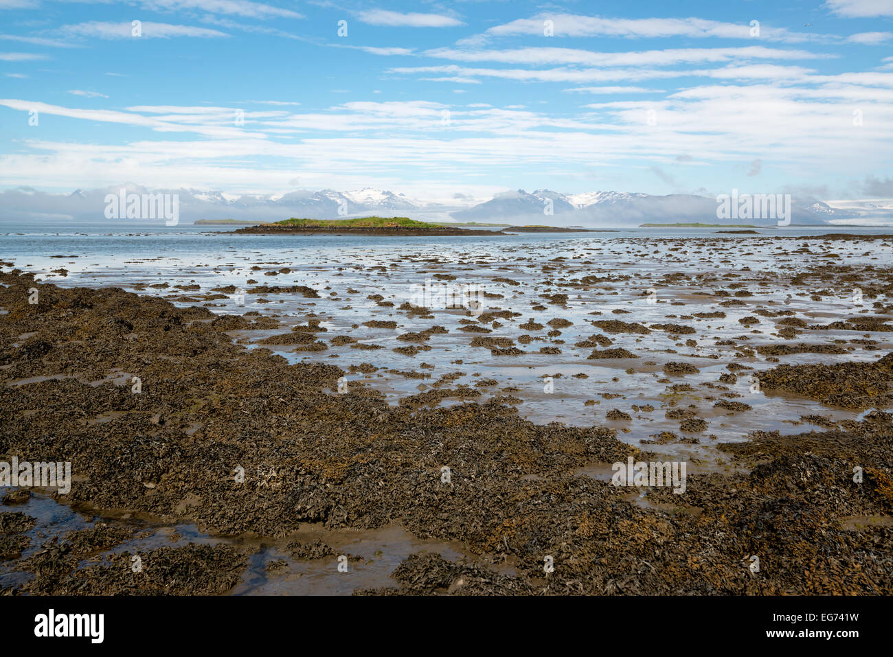 Paesaggi acquatici vista da Hofn in Islanda Foto Stock