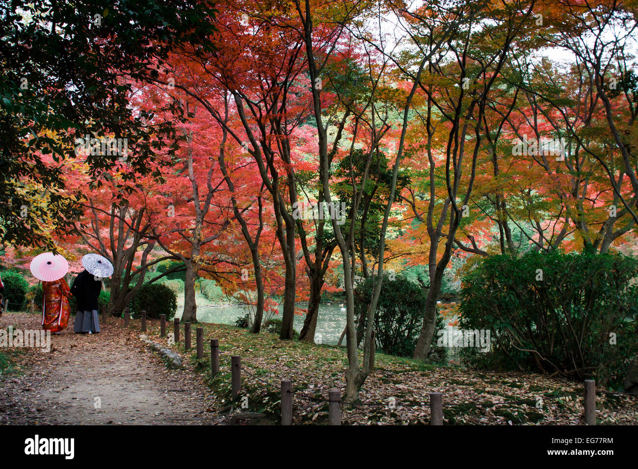 Giappone, Kyoto, novelli sposi al Giardino Botanico Foto Stock