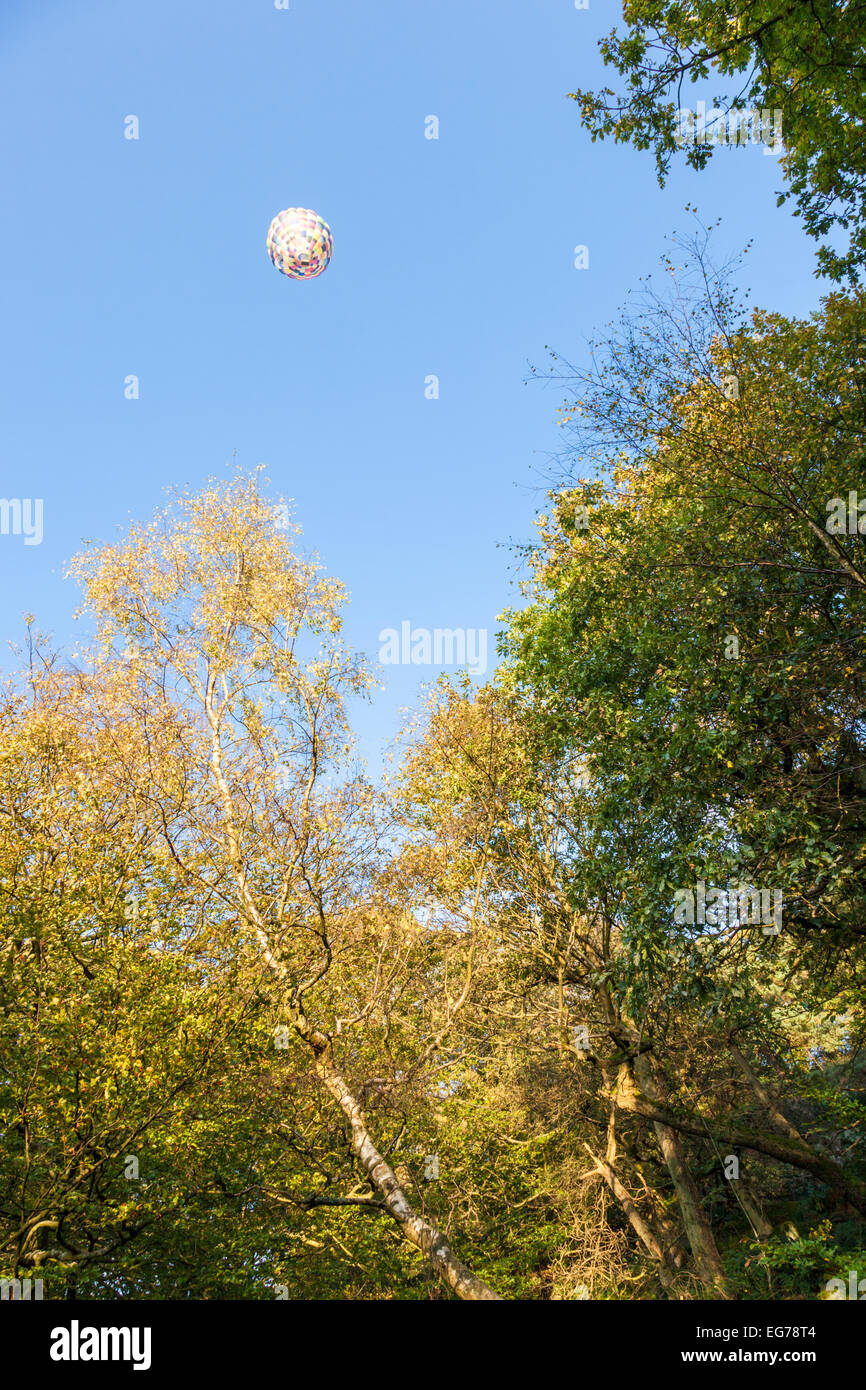 Mongolfiera fluttua sopra gli alberi in autunno, Derbyshire, England, Regno Unito Foto Stock