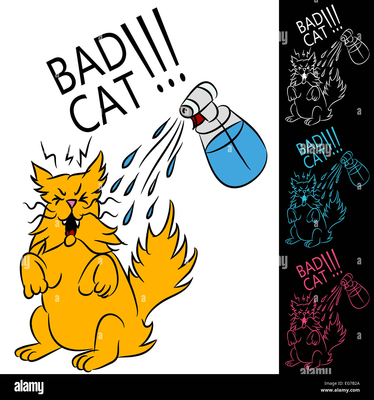 Una immagine di un gatto che viene spruzzato con una bottiglia di acqua. Foto Stock
