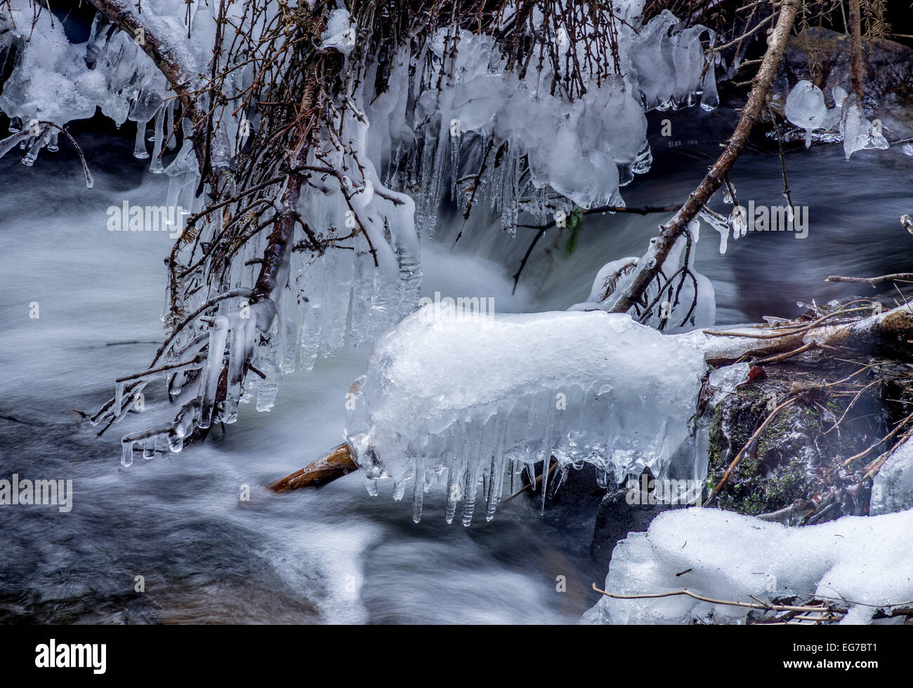 Ghiaccioli e neve sui ramoscelli in acqua corrente Foto Stock