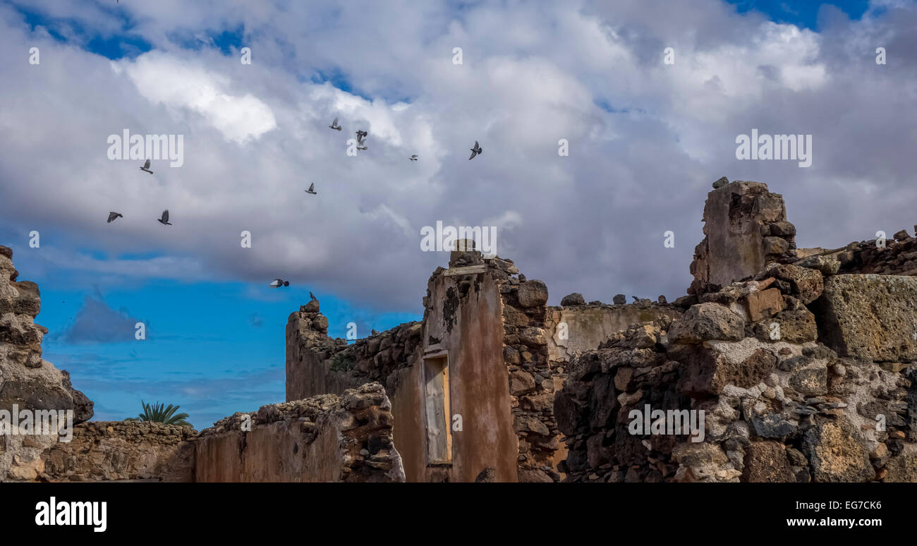 Gli uccelli volando sopra la rovina La Oliva Fuerteventura Las Palmas Isole Canarie Spagna Foto Stock