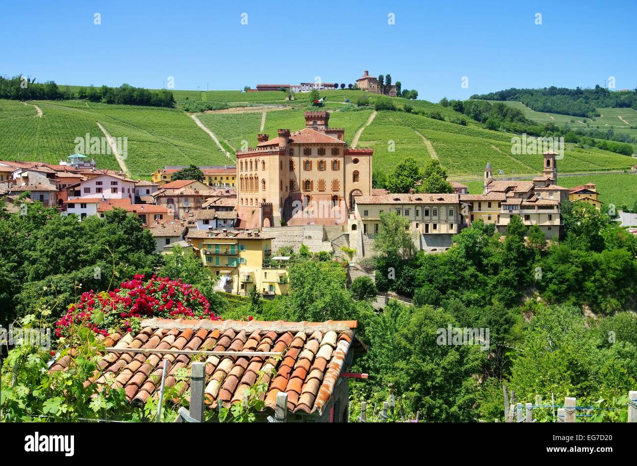 Barolo 04 Foto Stock