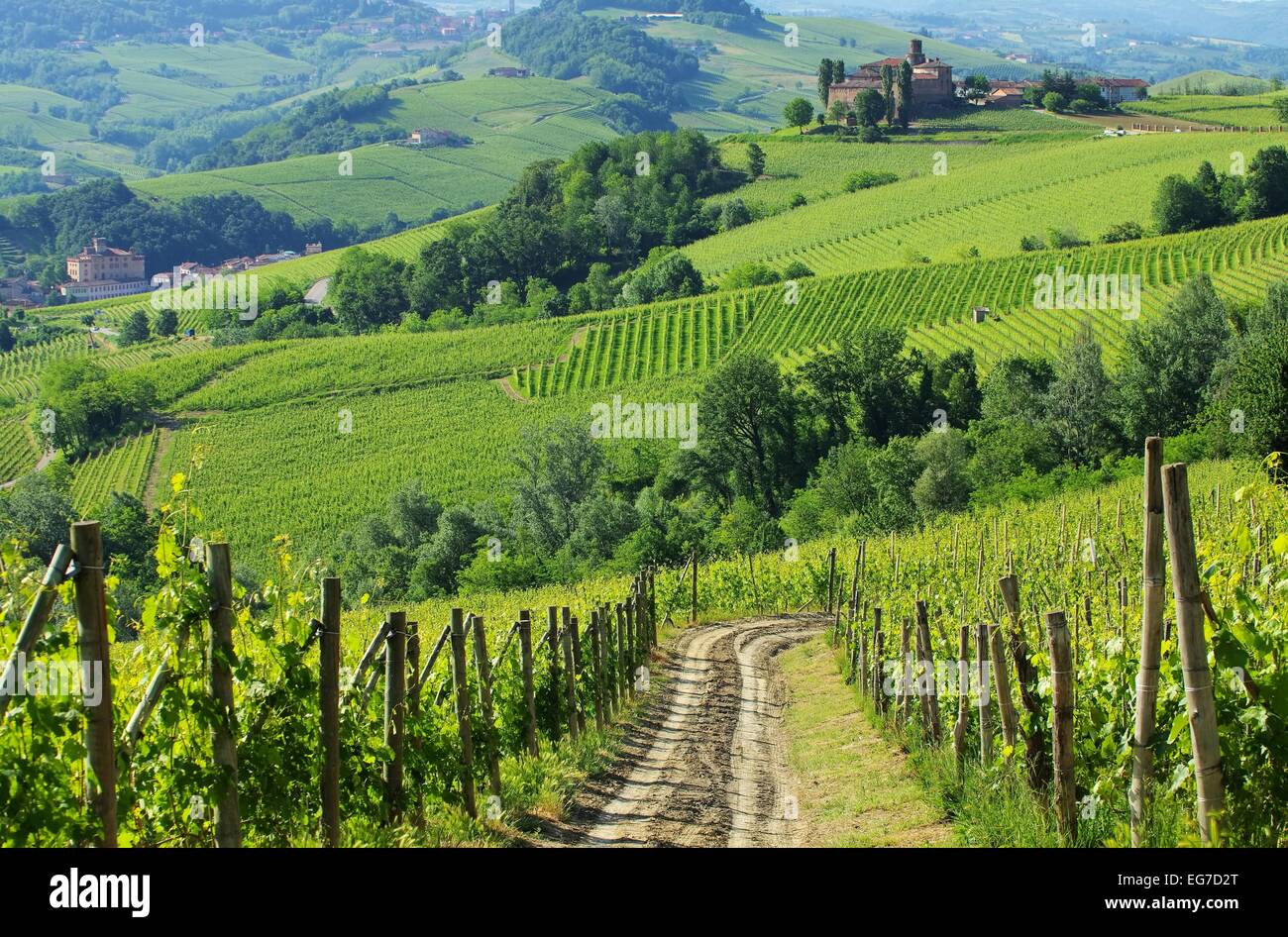 Il Barolo Castello di La volta 03 Foto Stock