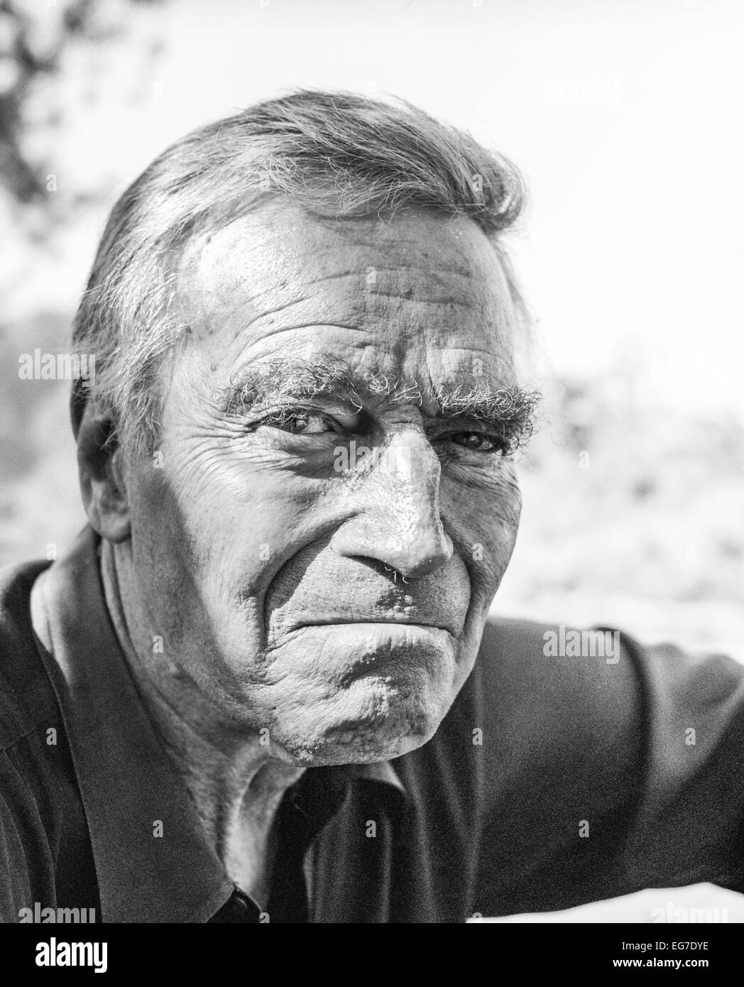 LOS ANGELES, CA - febbraio 2: Oscar attore Charlton Heston nella sua casa di Los Angeles, la California il febbraio 2,1997. Foto Stock