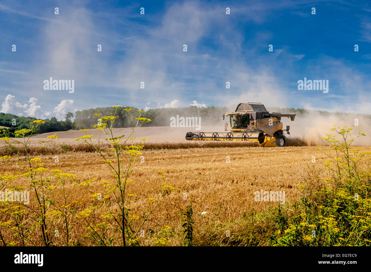 New Holland mietitrebbia - sud-Touraine, Francia. Foto Stock