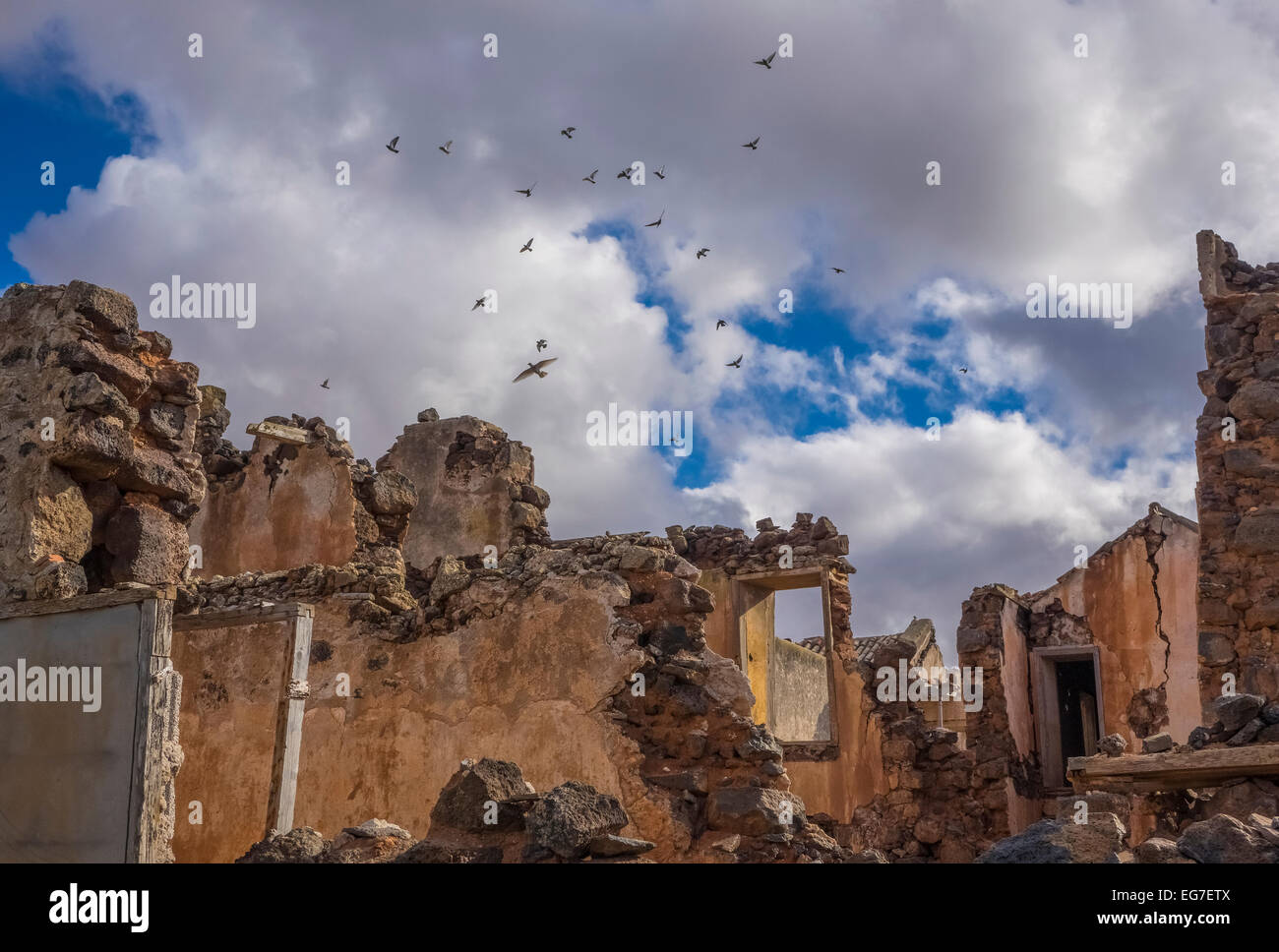 Gli uccelli volando sopra la rovina La Oliva Fuerteventura Las Palmas Isole Canarie Spagna Foto Stock