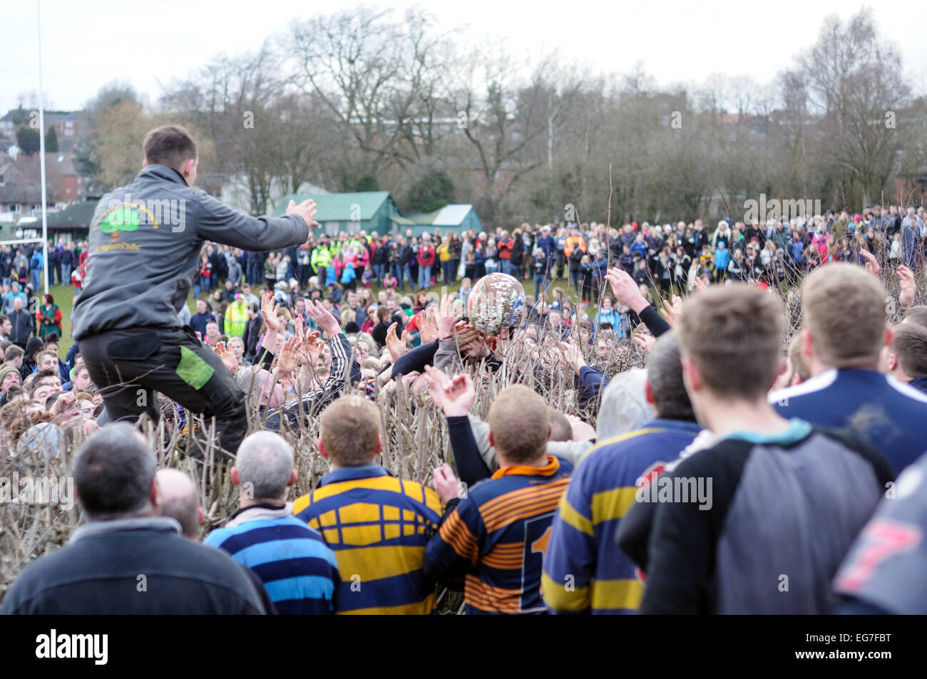 Ashbourne, Derbyshire, Regno Unito. 18 Febbraio, 2015. Il Mercoledì delle Ceneri e il giorno due del calcio shrovetide ,enorme folla è venuto a prendere parte e spectare.La maggior parte di oggi del gioco avvenuto in Ashbourne ricreativi .Shrovetide i giocatori combattono per la sfera su entrambi i lati della copertura . Credito: IFIMAGE/Alamy Live News Foto Stock