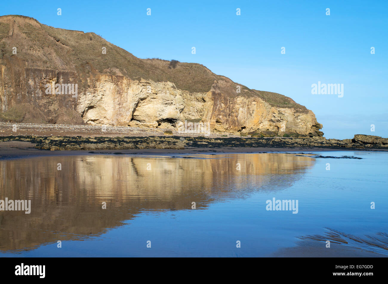 Blackhall rocce, cliff riflessa in acqua di mare, nella contea di Durham costa, England, Regno Unito Foto Stock