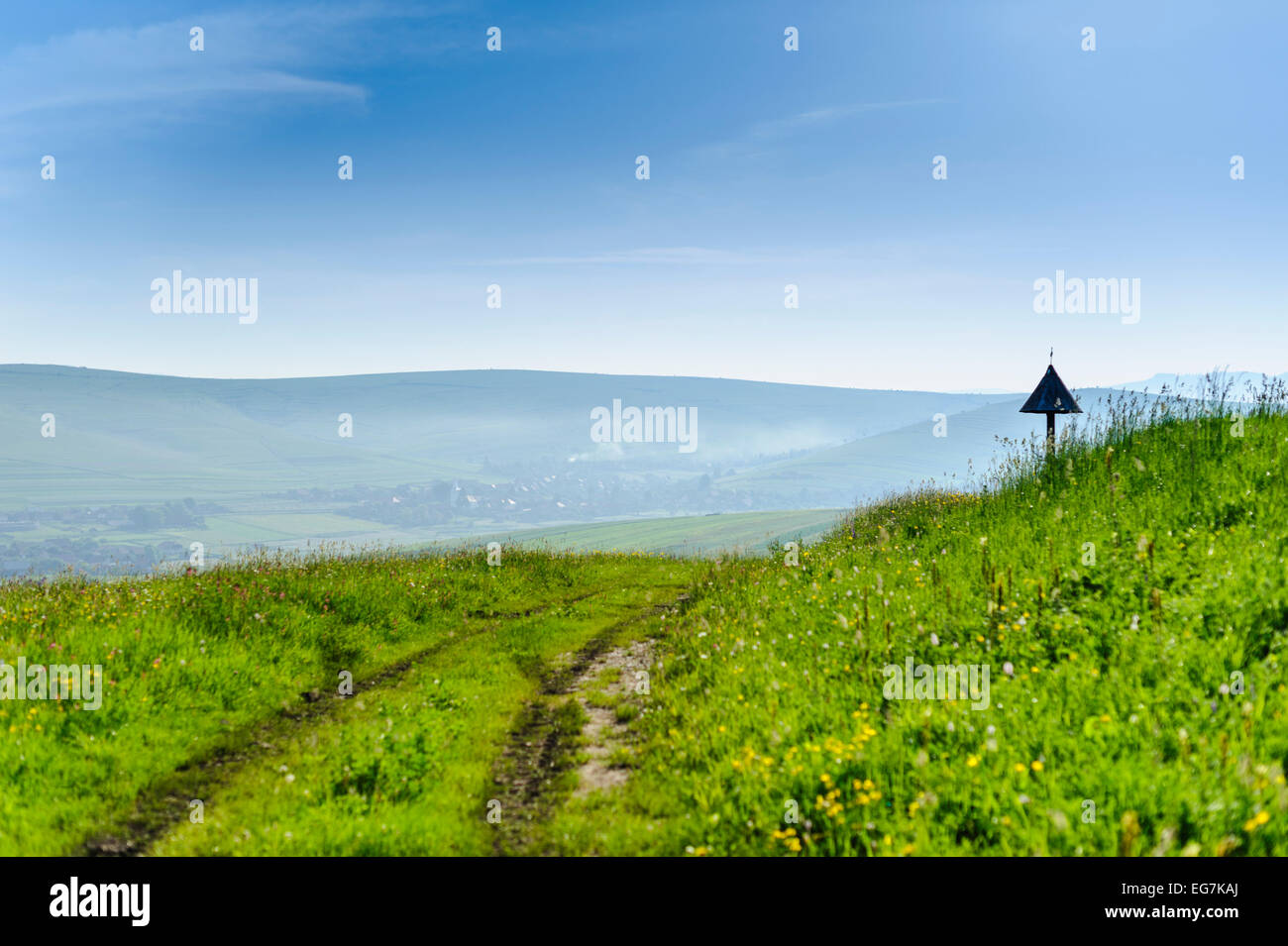 Verdi colline e prati con fiori selvatici in colline, montagne, campagna. La Romania, Transilvania, Harghita. Foto Stock