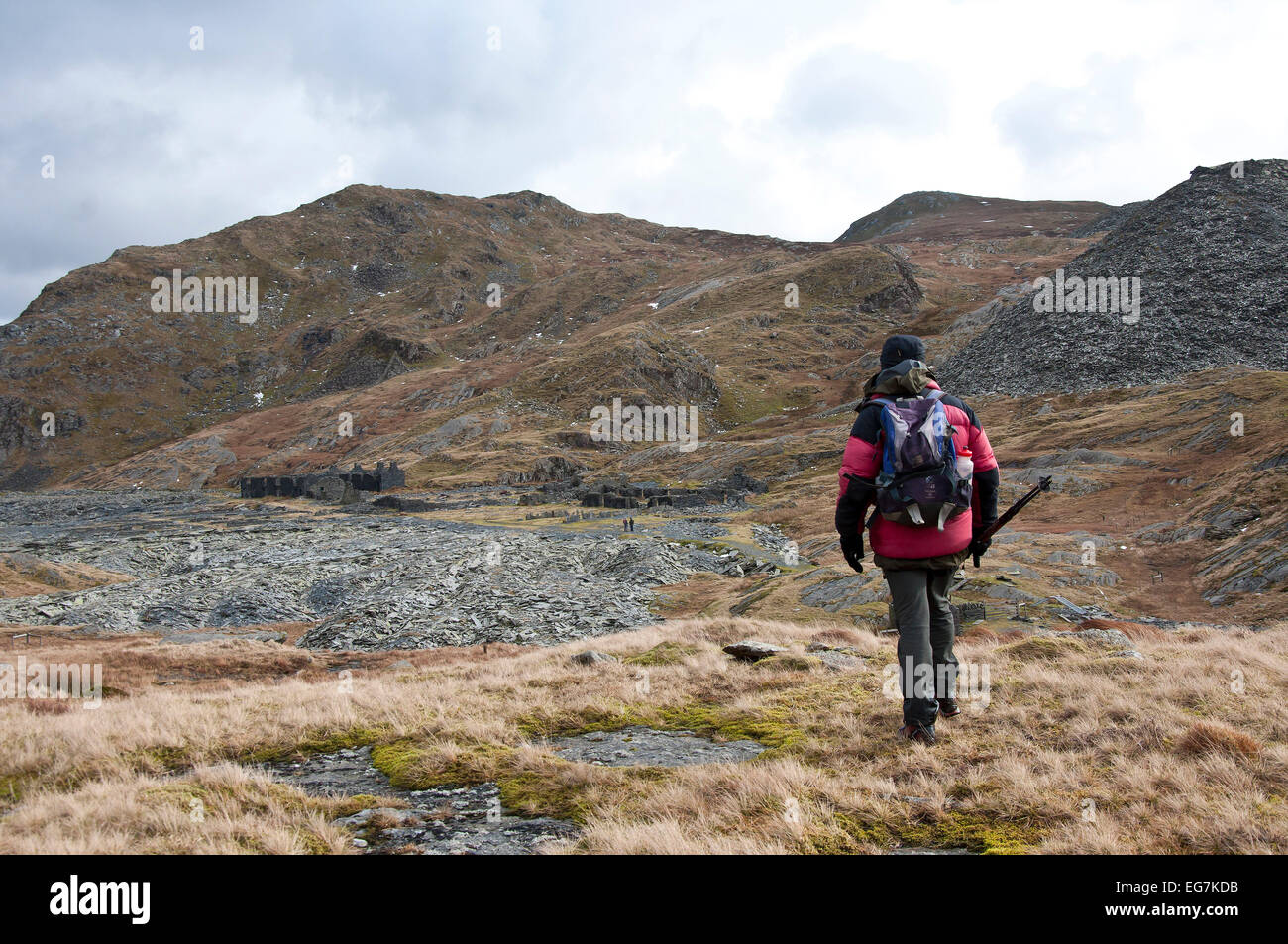 Parco Nazionale di Snowdonia, Gwynedd, Wales, Regno Unito. 17 Febbraio, 2015. Un escursionista visiti il abbandonato Rhosydd cava di ardesia come parte dei suoi giorni tour a piedi. Rhosydd cave di ardesia è iniziata nel 1840 e impiegato 200 uomini al suo picco nel 1880 quando oltre 6 mila tonnellate di ardesia vendibile di un anno è stata prodotta. La escavazione continuò fino agli anni cinquanta ma non si è mai ripresa dopo il 'Grande caduta' nel 1900, una catastrofe che ha distrutto gran parte delle più redditizie si riserva. Credito: Graham M. Lawrence/Alamy Live News. Foto Stock
