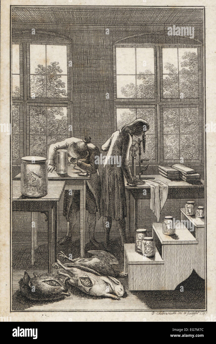 Il XVIII secolo gli scienziati in un laboratorio esaminando campioni in vasi. Foto Stock