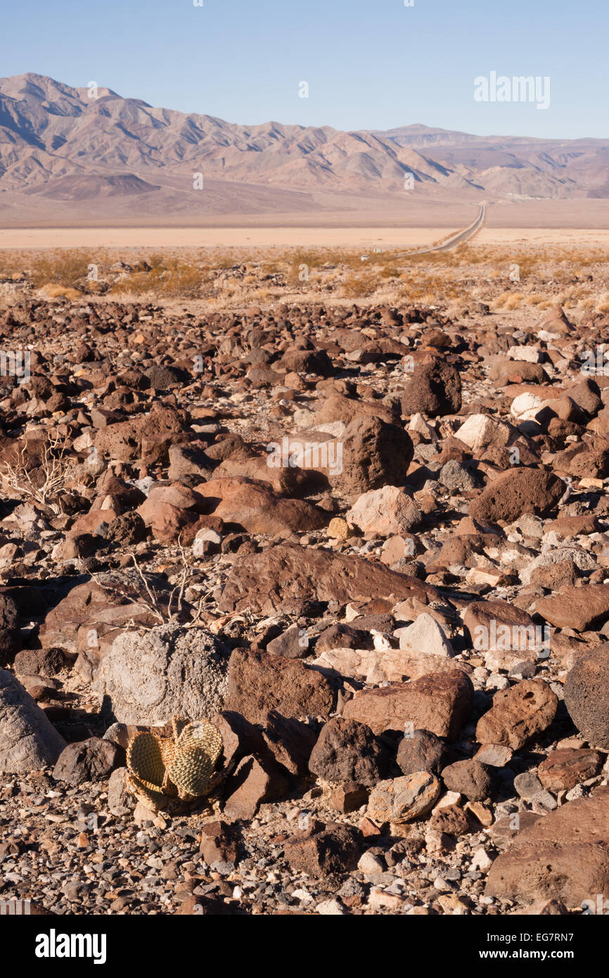 L antico paesaggio vulcanico nel deserto della California del sud Foto Stock