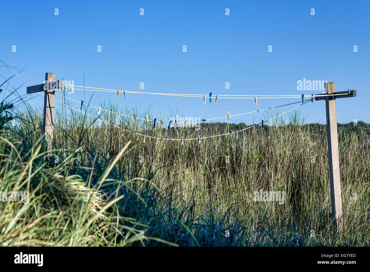 Vecchio outdoor linea di abbigliamento annidato in erba di dune, Cape Cod, Massachusetts, STATI UNITI D'AMERICA Foto Stock