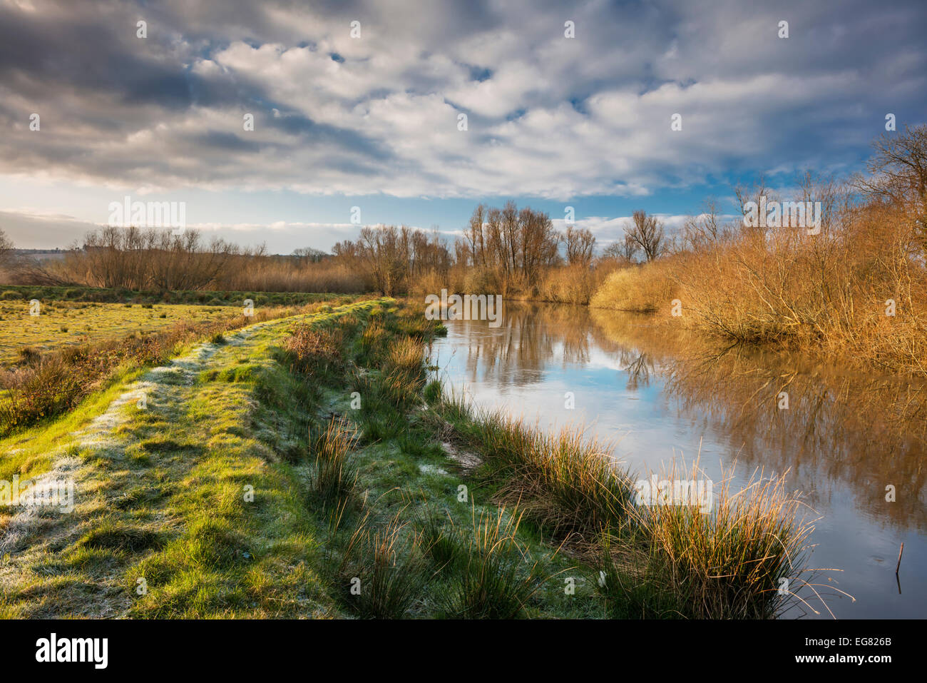 Banca e curva di meandro del fiume sposa, nella contea di Waterford, Irlanda, inizio su un gelido mattino Foto Stock