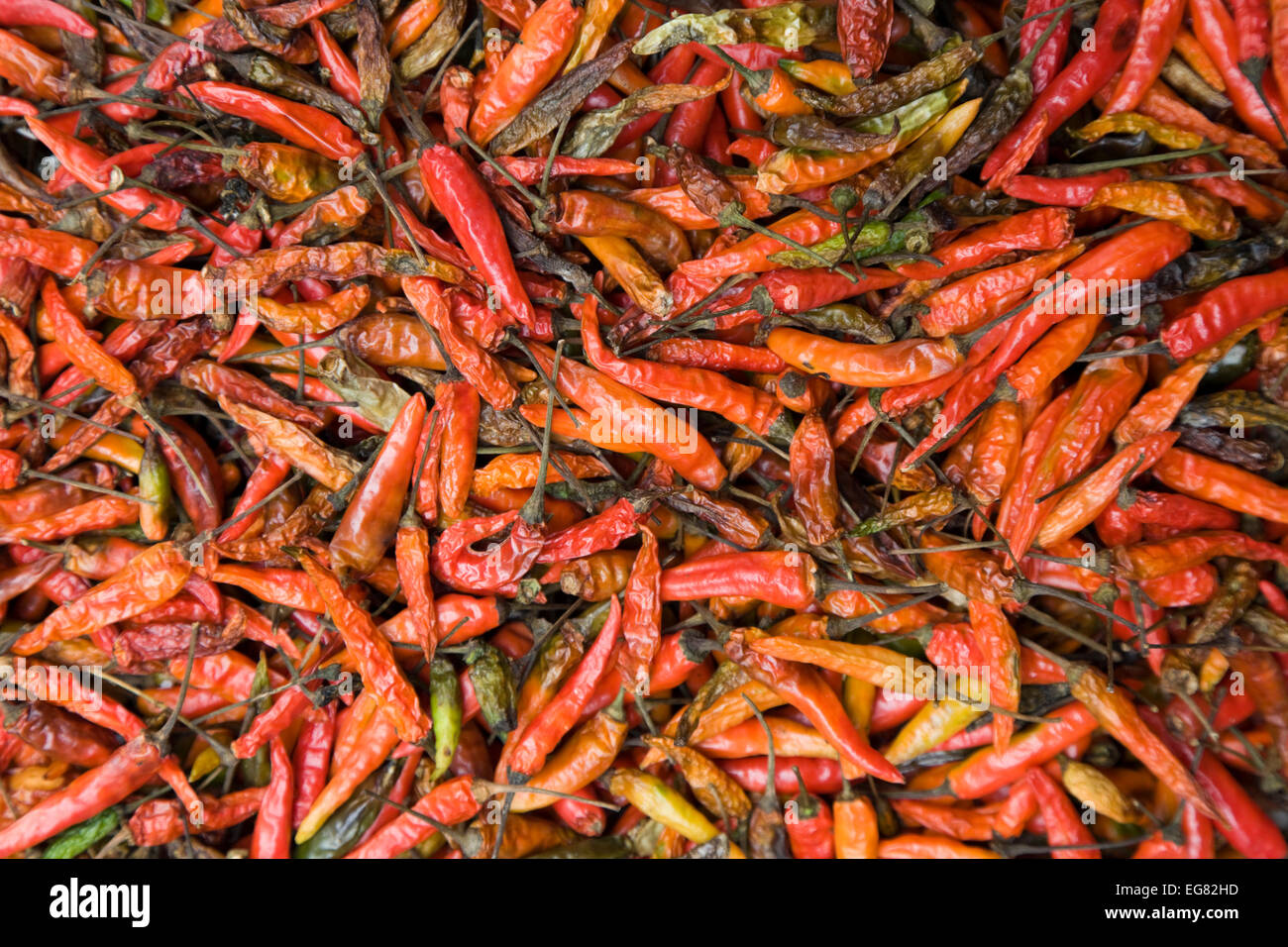 Peperoncini rossi secchi e rossi con una gamma di colori, in vendita su una bancarella di mercato a Mumbai, India Foto Stock