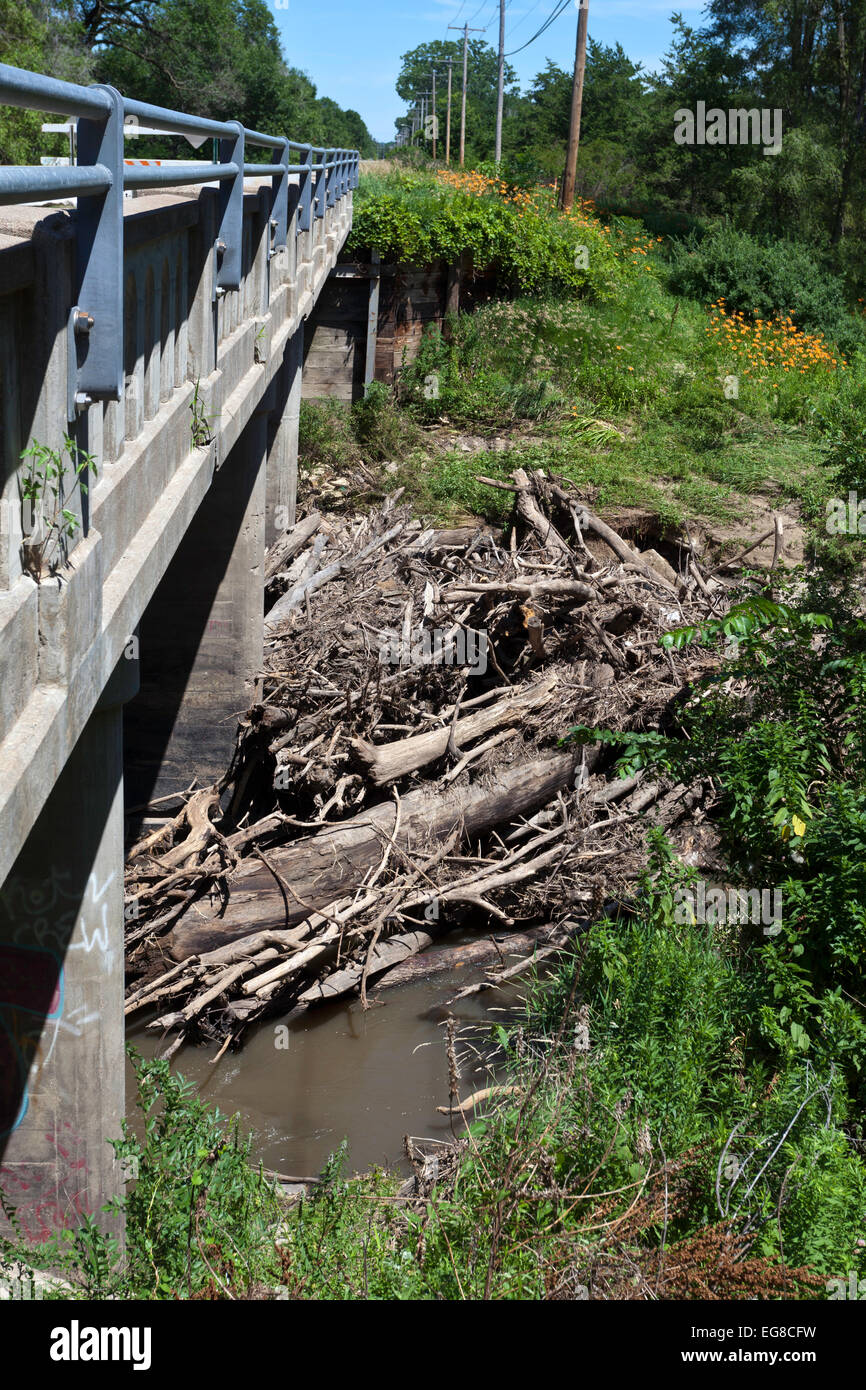 Log Jam sotto un ponte. Foto Stock