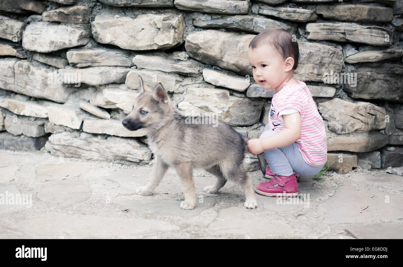 Il bambino che tira la coda del cane Foto Stock