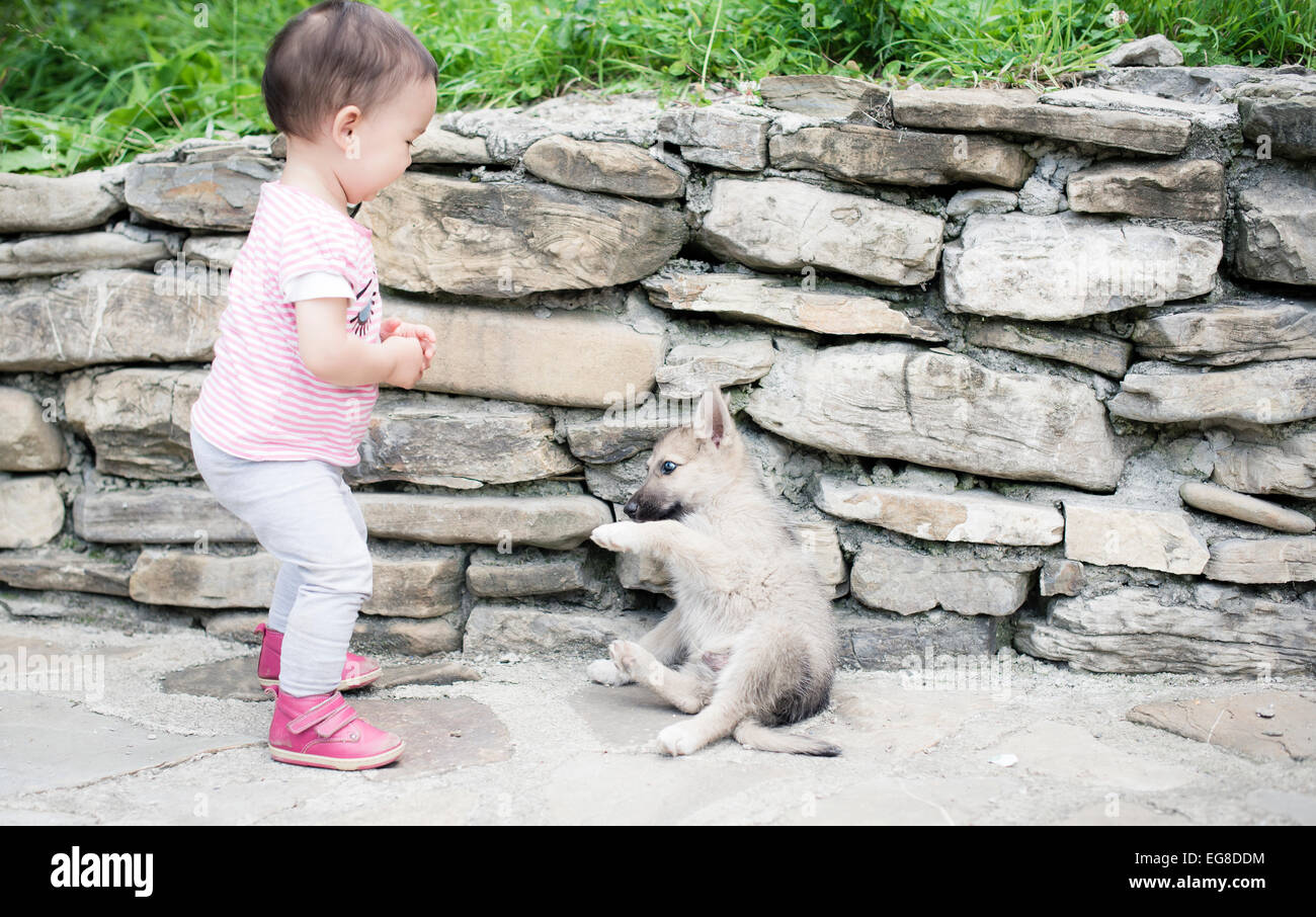 Bambino che gioca con il piccolo cane Foto Stock