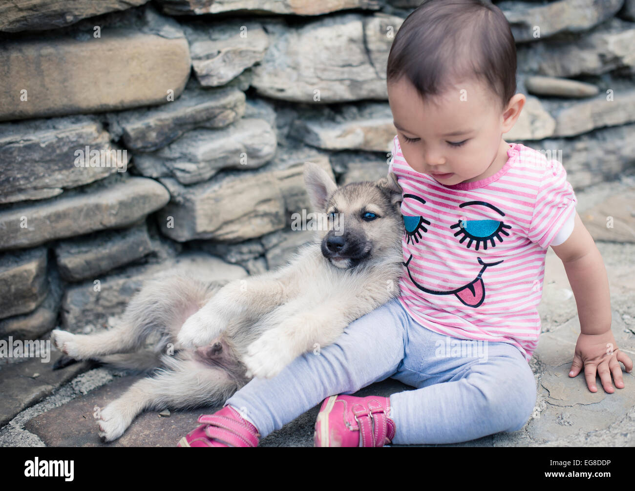 Bambino che gioca con il piccolo cane Foto Stock
