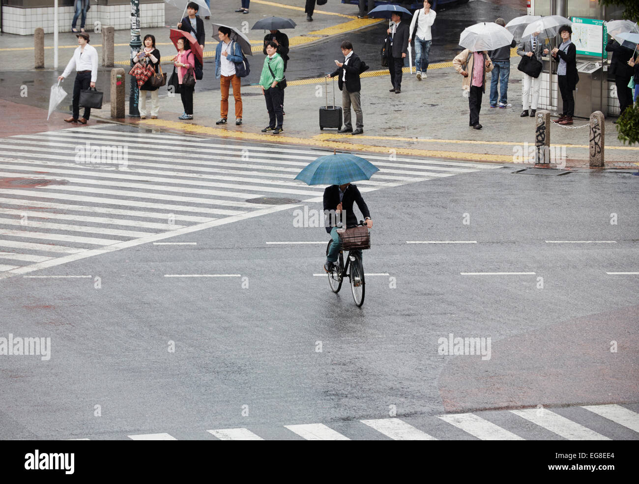 Ciclista con ombrelloni su Shibuya scramble crossing, Shibuya, Tokyo, Giappone Foto Stock