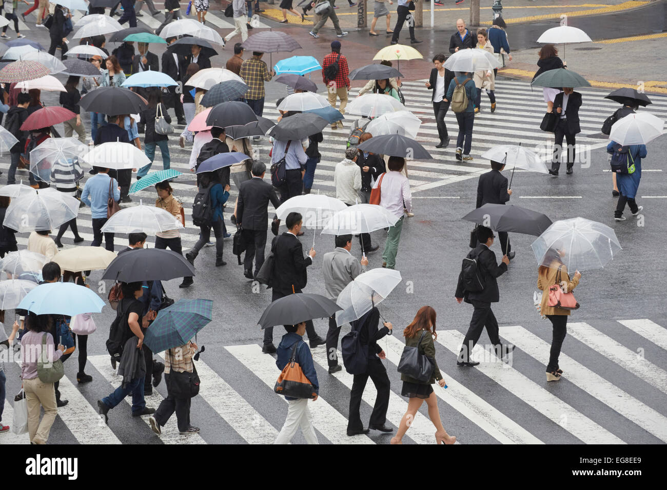 Pendolari con ombrelloni su Shibuya scramble crossing, Shibuya, Tokyo, Giappone Foto Stock