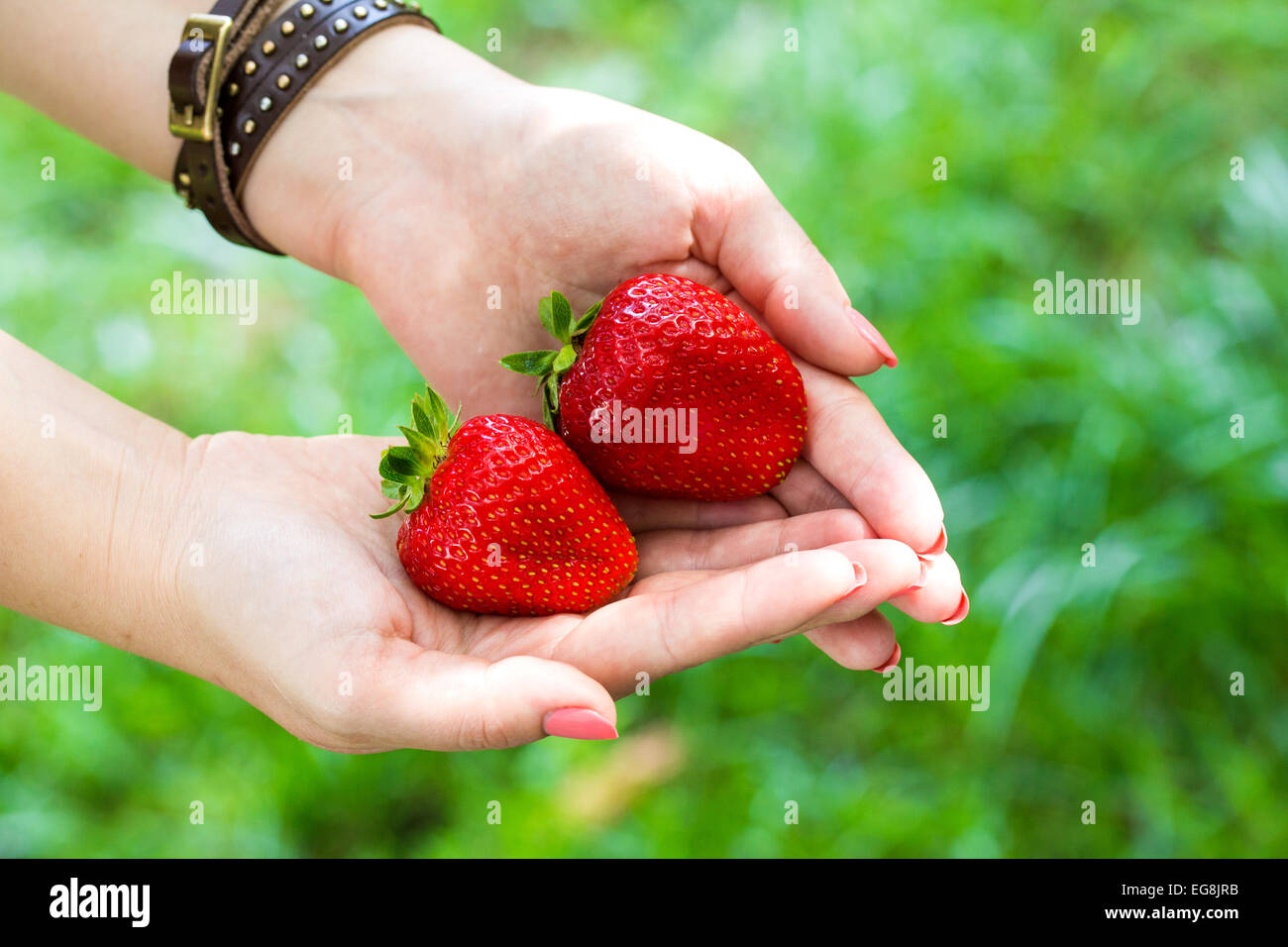 Mani di fragola fragole fresche bambino sano mano verde Foto Stock