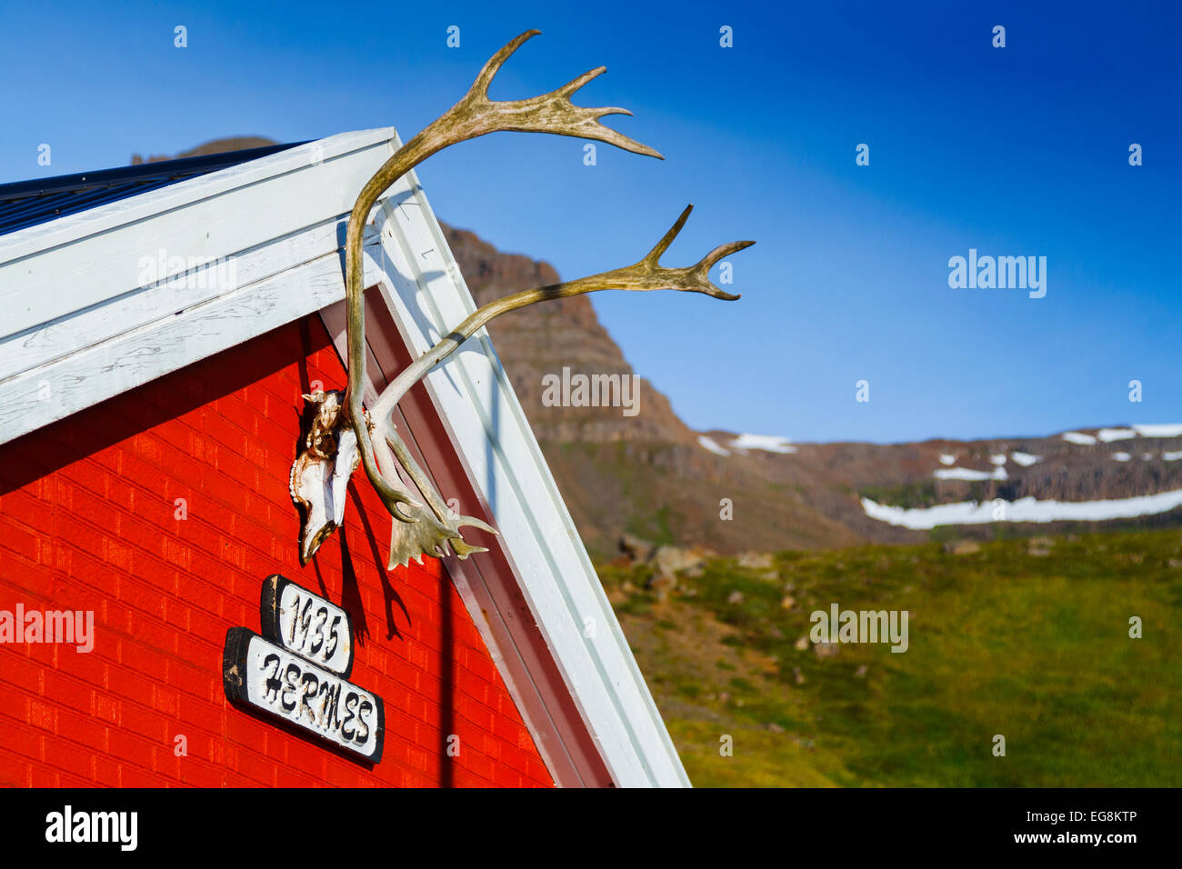 La renna palchi in una casa. Foto Stock