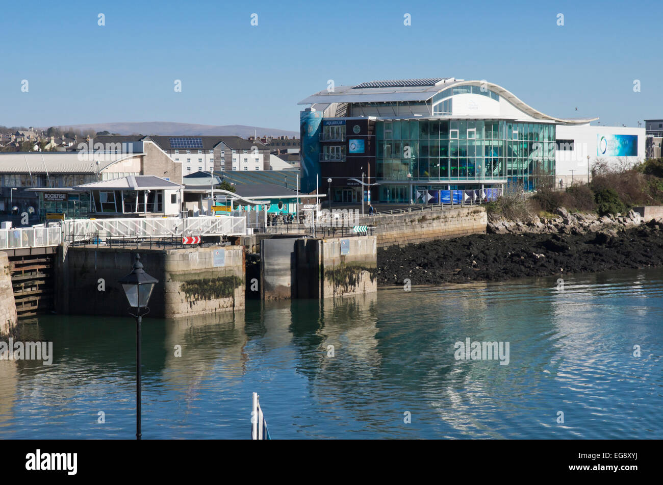 Plymouth Devon England UK National Marine Aquarium Foto Stock