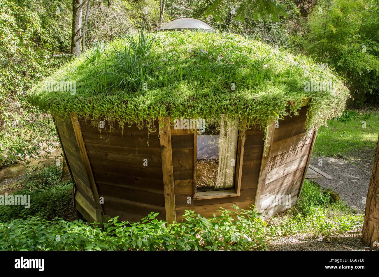 Cabina con tetto di erba. Foto Stock