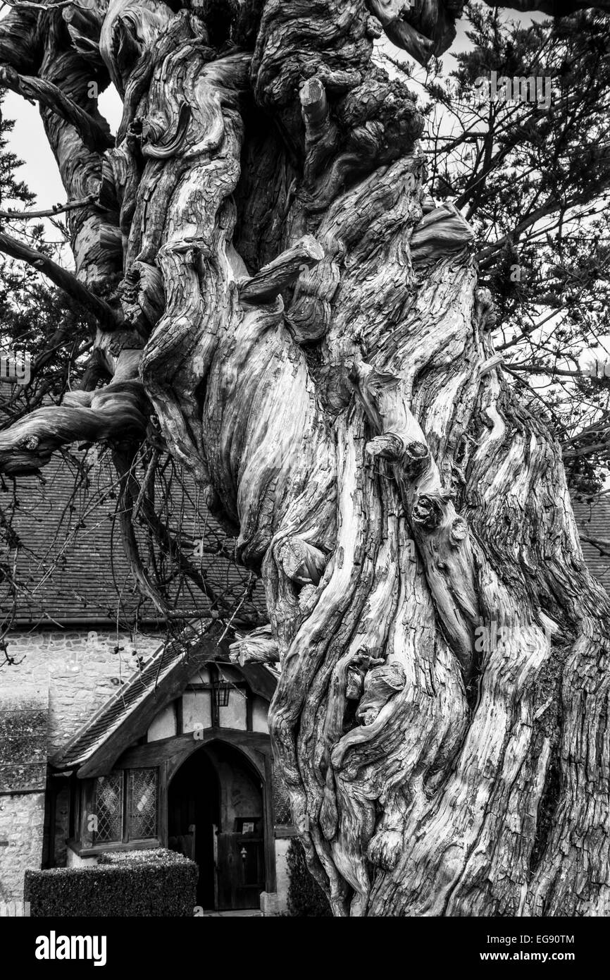 Chiesa di St James Birdham Sussex Foto Stock