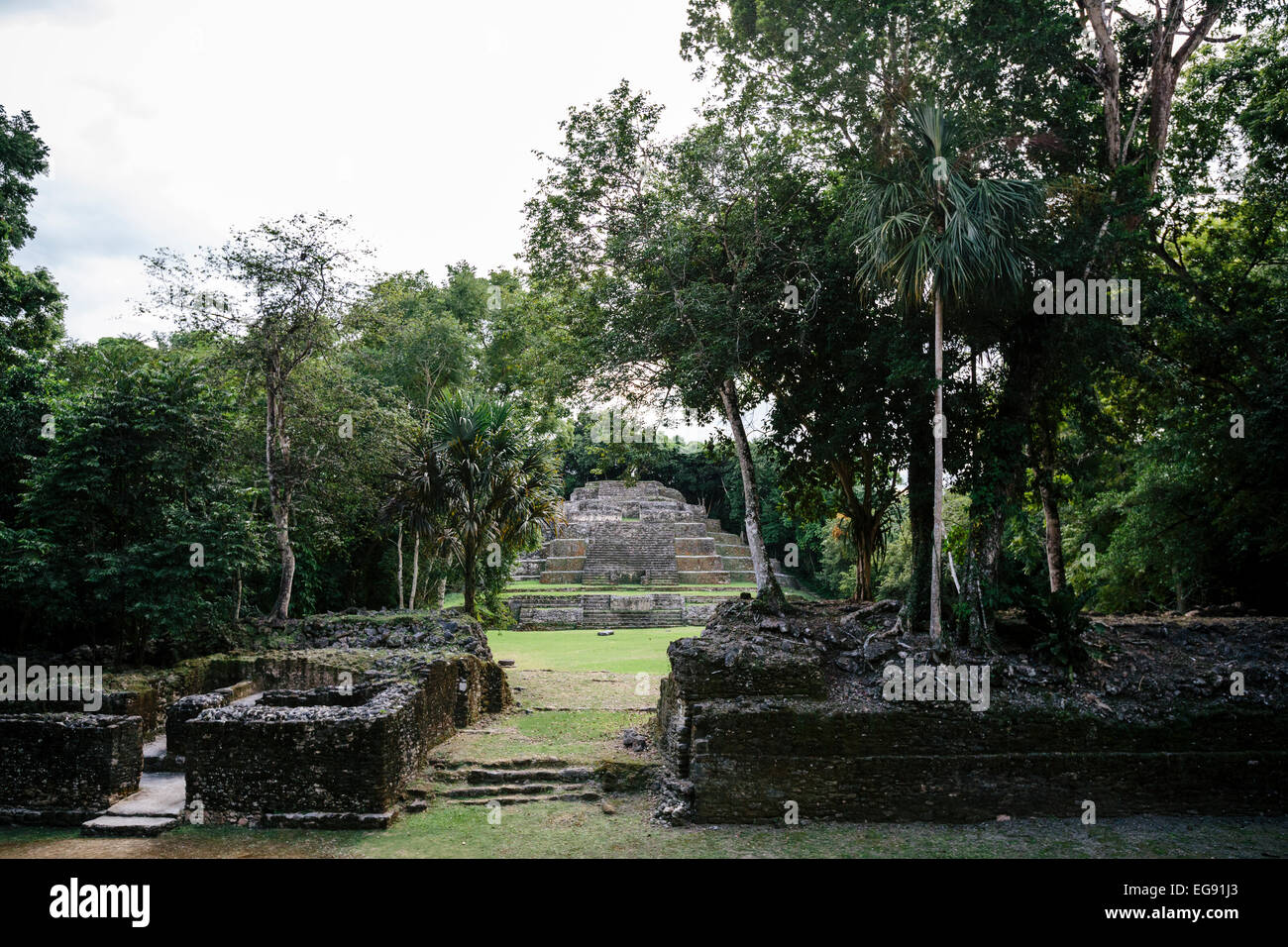 Elite Area residenziale resti vicino tempio Jaguar, Lamanai, Belize Foto Stock