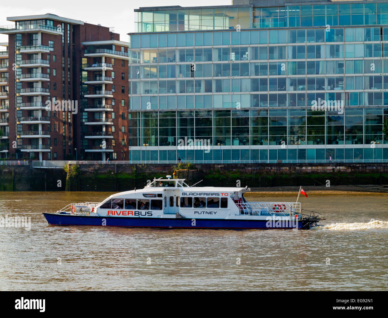 Blackfriars per Putney Riverbus tenendo i passeggeri al lavoro la mattina sul Fiume Tamigi vicino a Chelsea nel central London REGNO UNITO Foto Stock