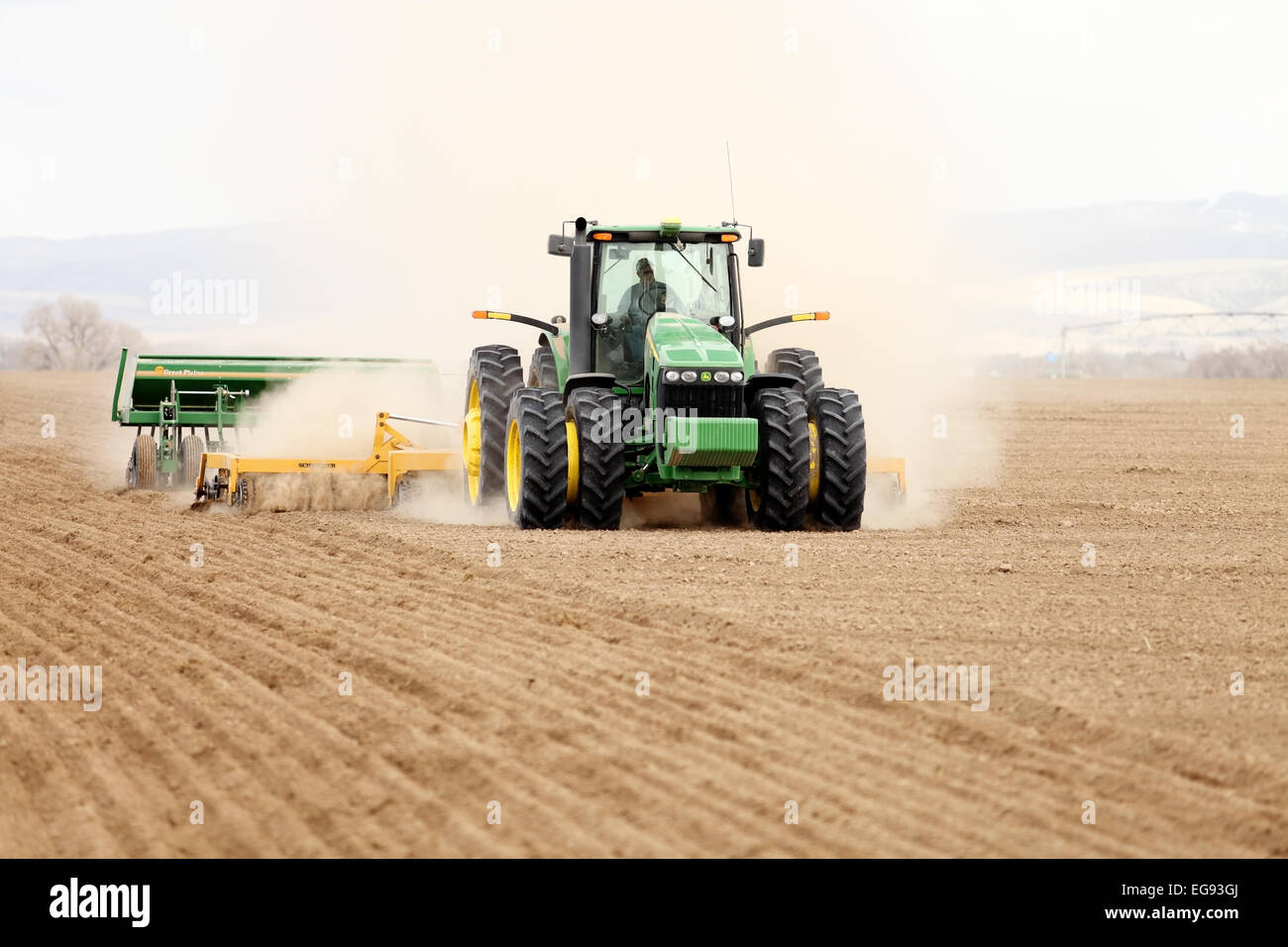La semina del grano in Idaho un campo di grano. Foto Stock