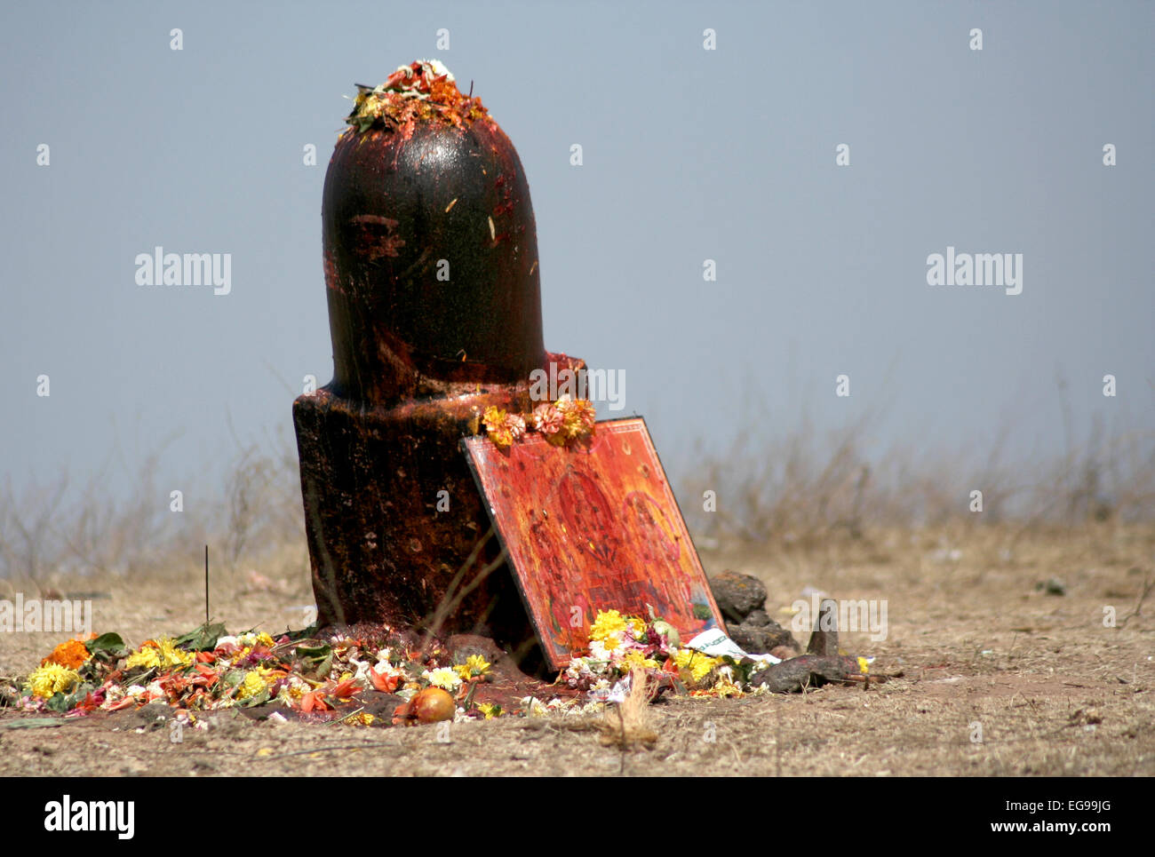 Signore siva in pietra di devoti indù per eseguire puja sul maha sivaratri giorno a keesara gutta,Andhra Pradesh, India. Foto Stock