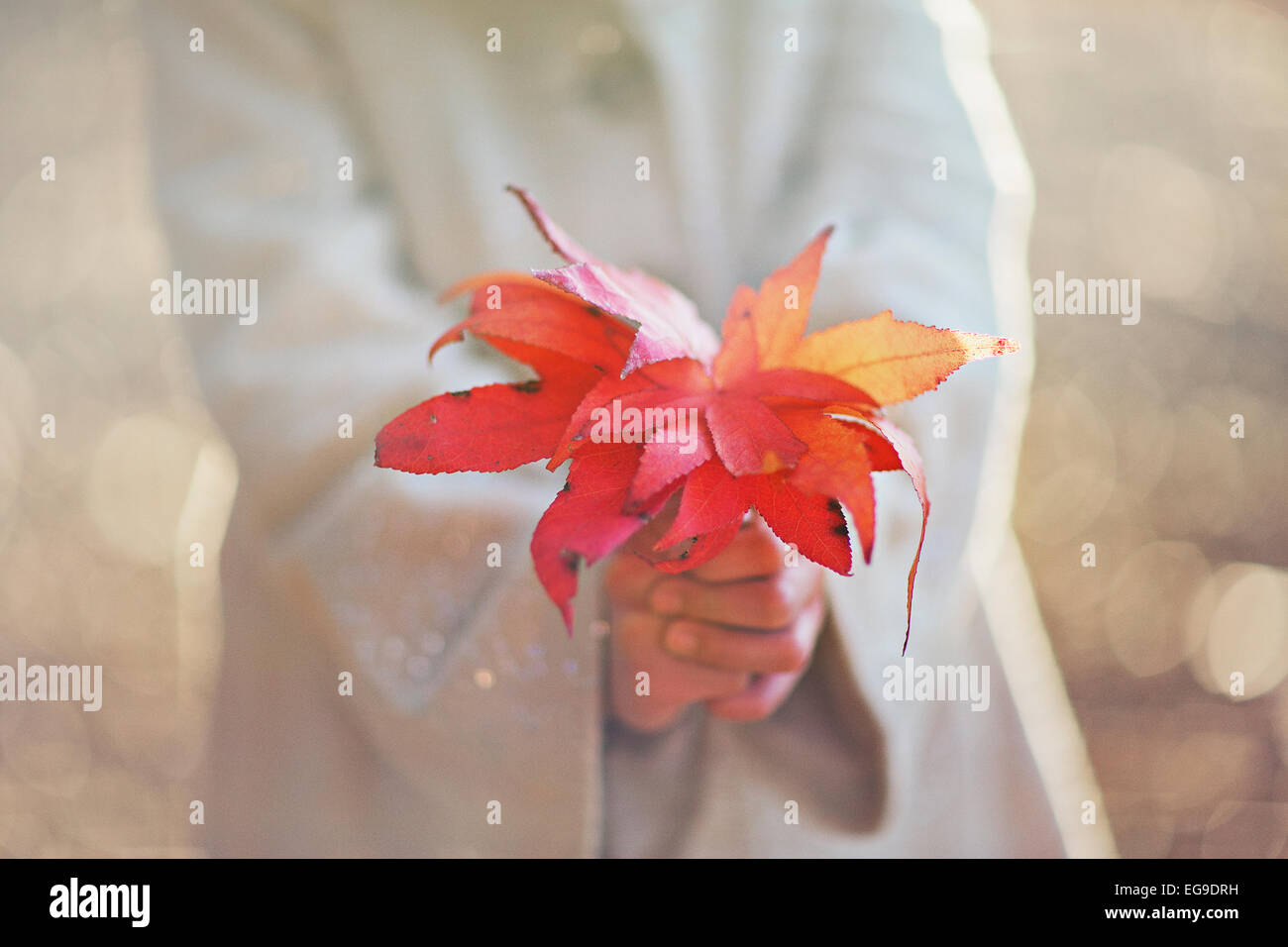 Ragazza con foglie di autunno Foto Stock