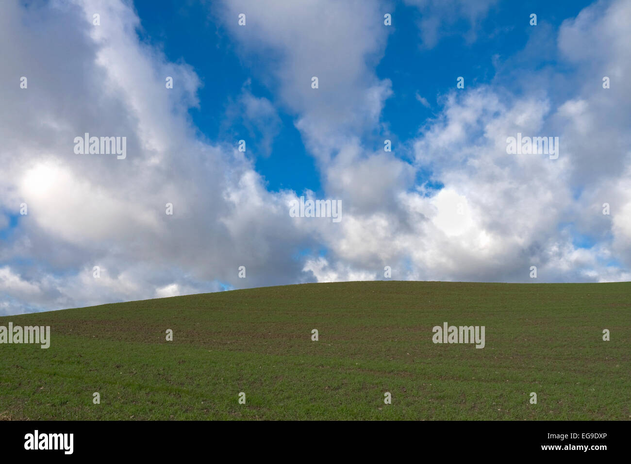 Nuvole sopra i campi nei pressi di Horsens, Danimarca Foto Stock