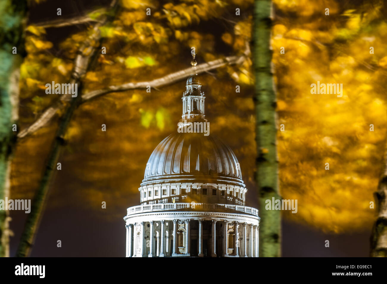Regno Unito, Inghilterra, Londra, Cattedrale di San Paolo di notte con alberi d'autunno Foto Stock