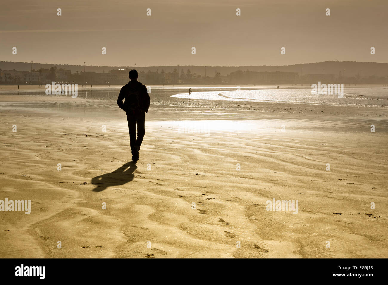 Ramnler sulla spiaggia in inverno, retroilluminazione, Plage Tagharte, Essaouira, Marocco Foto Stock