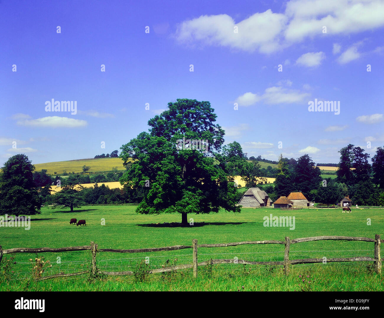 Weald and Downland museo vivente. South Downs. West Sussex. In Inghilterra. Regno Unito Foto Stock