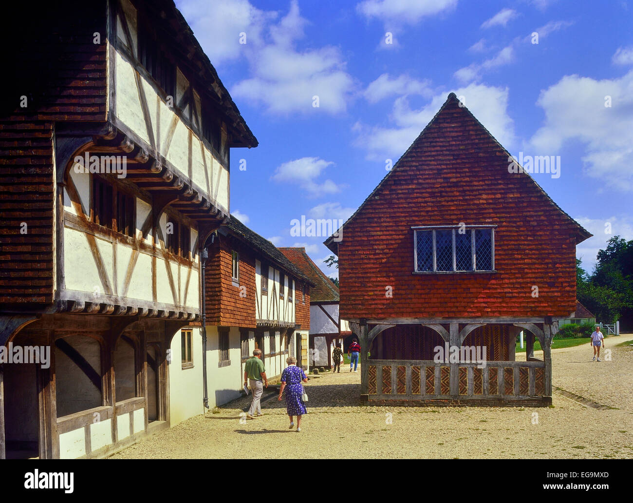 Weald and Downland museo vivente. West Sussex. In Inghilterra. Regno Unito Foto Stock