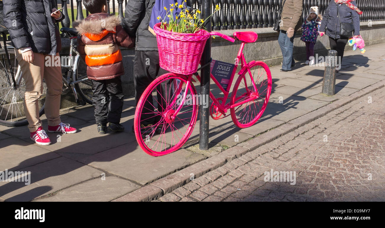 Pink bike bicicletta nuova pubblicità shop Joule apertura Senate House Hill  Cambridge Cambridgeshire England Foto stock - Alamy