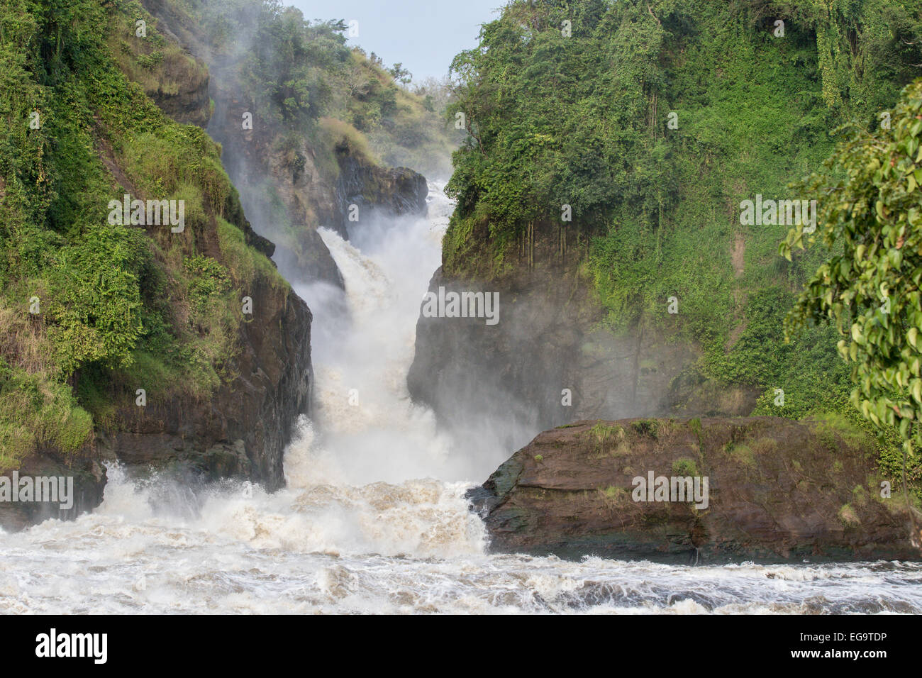 Una vista del Murchinson Falls a Murchinson Falls National Park, Uganda Foto Stock