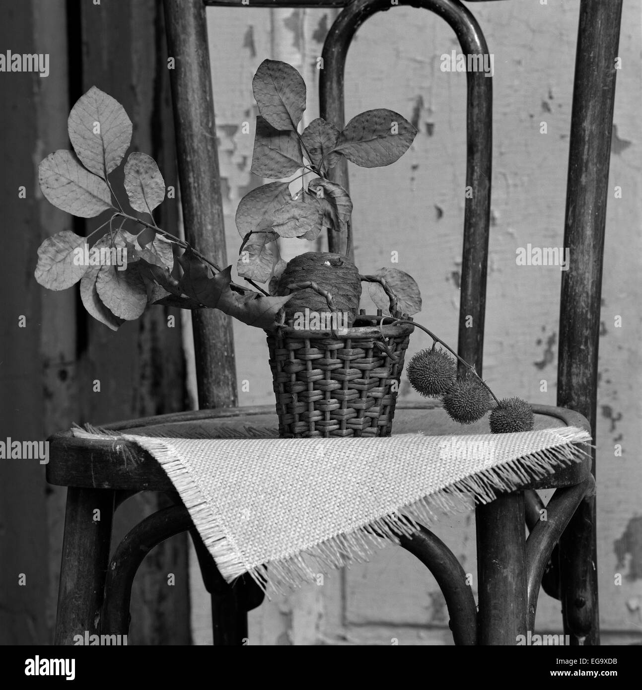 In bianco e nero di formato medio colpo di un vecchio sgabello e rami. Foto Stock
