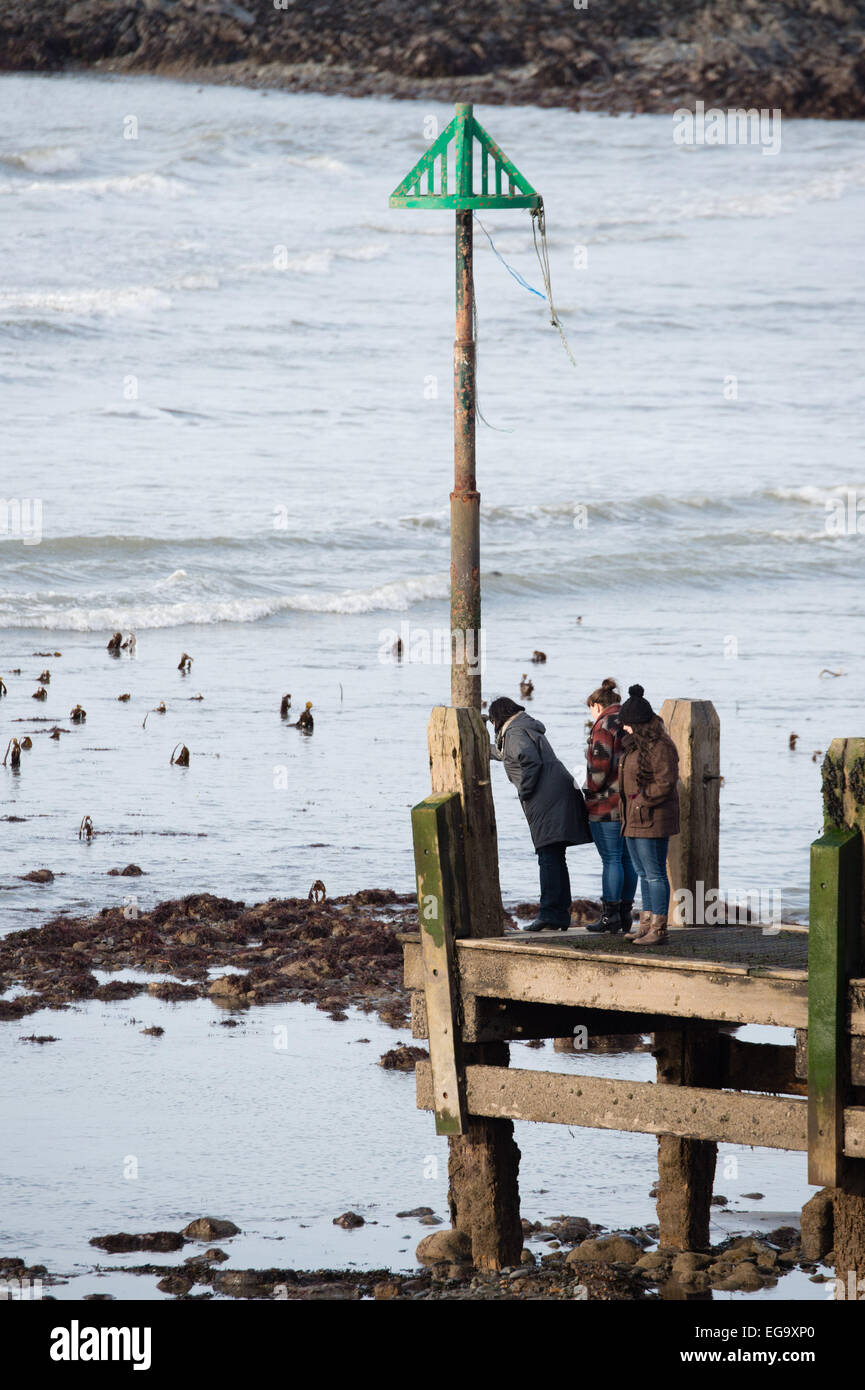 Aberystwyth, Wales, Regno Unito. Xx Febbraio, 2015. Una estrema bassa marea al mare in Aberystwyth, come la combinazione di sole e di luna posizioni producono un insolito 0.0m (punto zero zero) bassa marea, il minimo possibile di marea, rivelando vaste distese della foreshore normalmente coperti dall'acqua. La gente a prendere questa rara oppoprtunity per esplorare e fotografare in precedenza gli aspetti invisibili del litorale Credito: keith morris/Alamy Live News Foto Stock