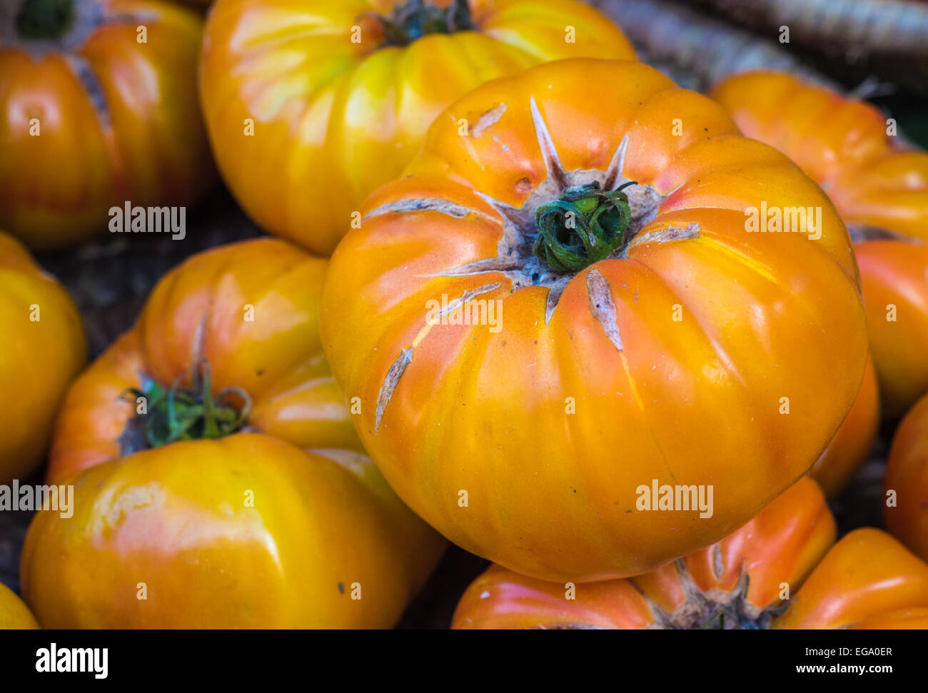 Pomodori giallo nel mercato Foto Stock