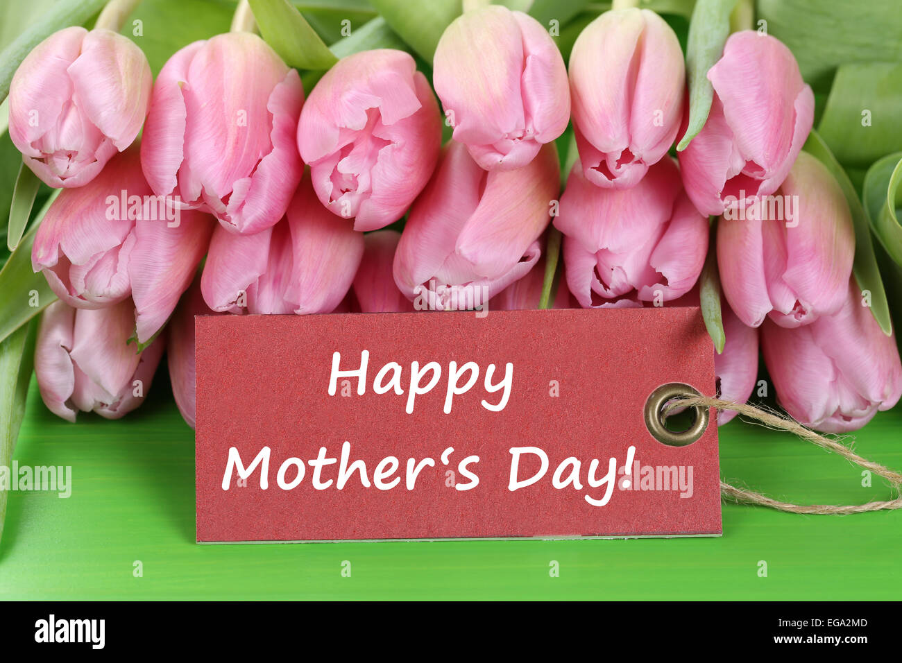 I tulipani fiori con un segno e il testo felice festa della mamma Foto Stock