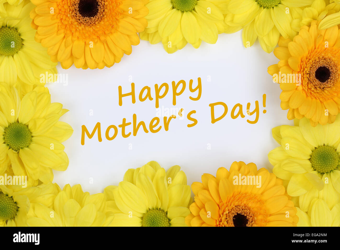 Fiori crisantemi con il testo felice festa della mamma Foto Stock