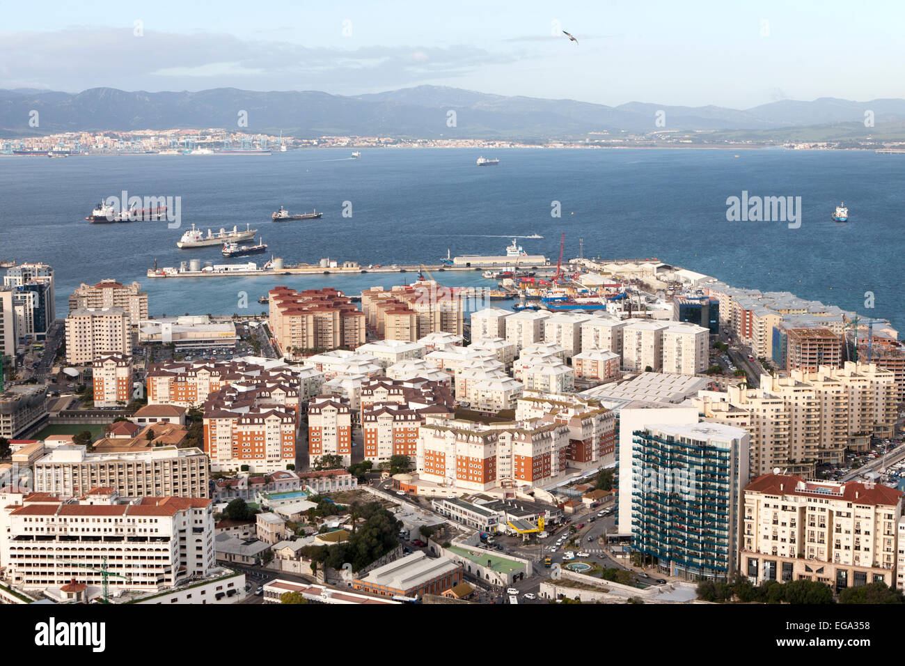 Alta densità moderno blocco di appartamenti alloggiamento, Gibilterra, British Overseas territorio in Europa meridionale Foto Stock